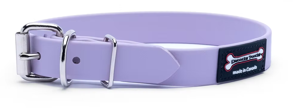 Smoochy Poochy Polyvinyl Collar - Various Colours