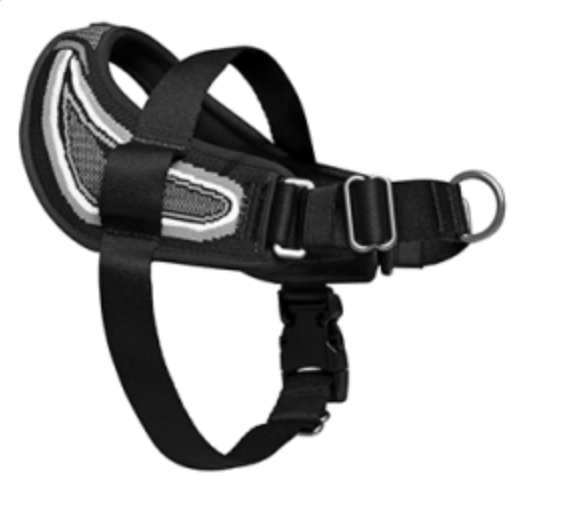 Canada Pooch Redirect Harness