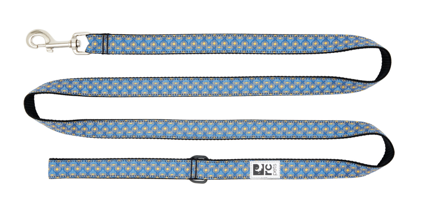 RC Pets Dog Leash