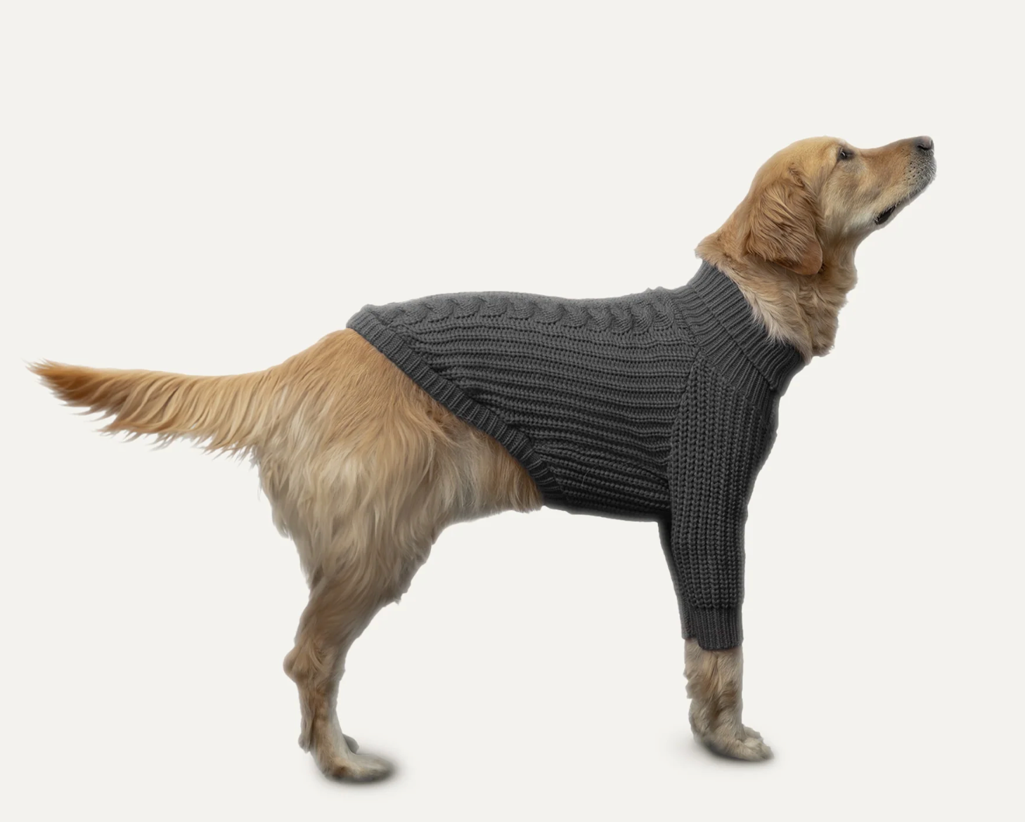 Goo-Eez Knit Sweater