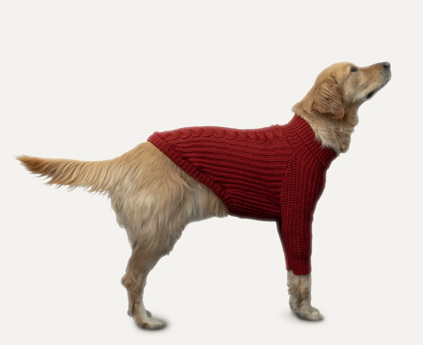 Goo-Eez Knit Sweater