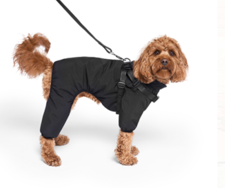 Canada Pooch Harness Snowsuit