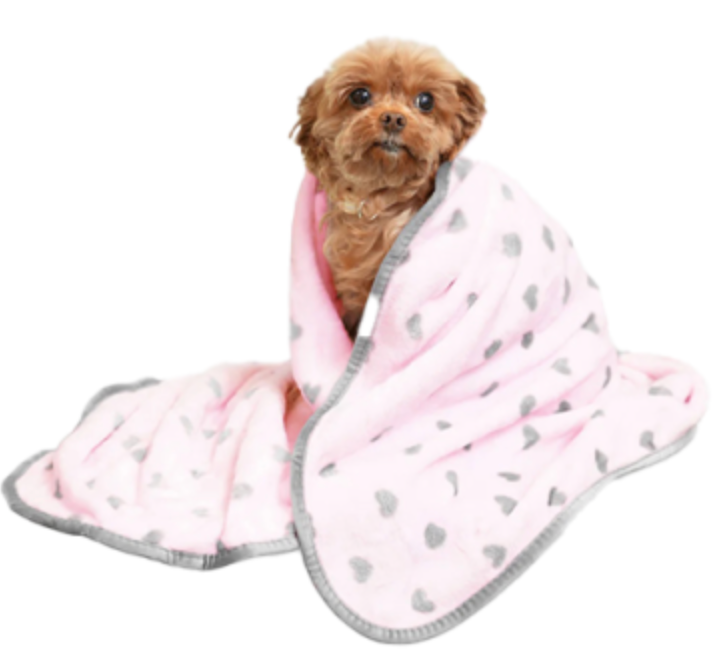 Goo-Eez Mini Pet Plush Blanket