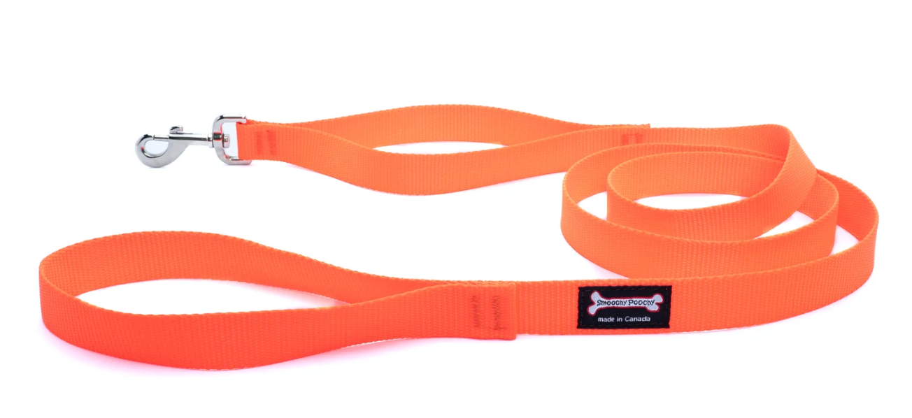 Smoochy Poochy Nylon Regular Style Leash