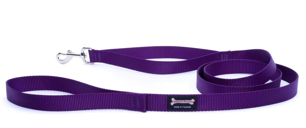Smoochy Poochy Nylon Regular Style Leash