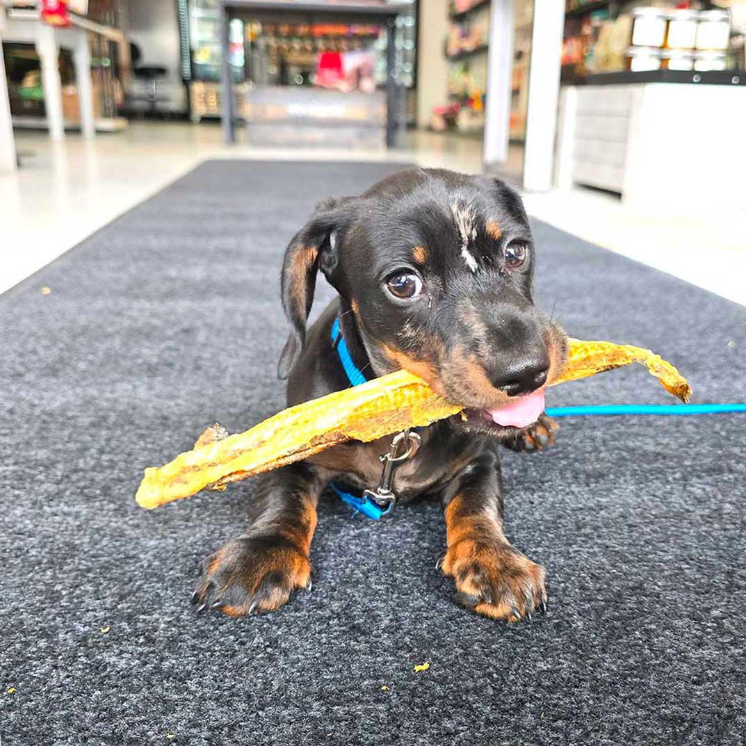 Wooftown Charcuterie - Walleye Skins