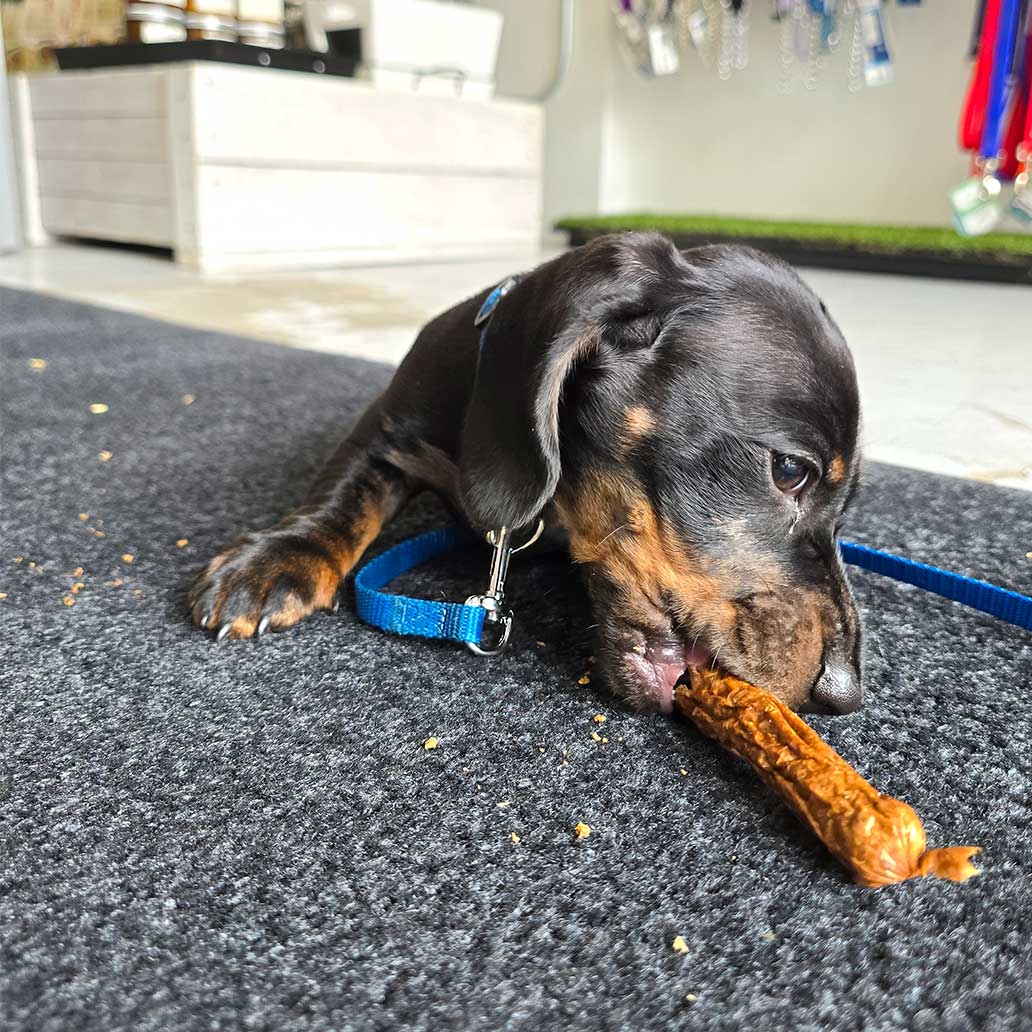 Wooftown Charcuterie - Chicken with Parsley Sausage Links
