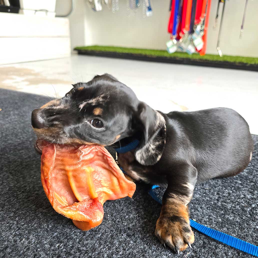 Wooftown Charcuterie - Smoked Whole Pig Ear