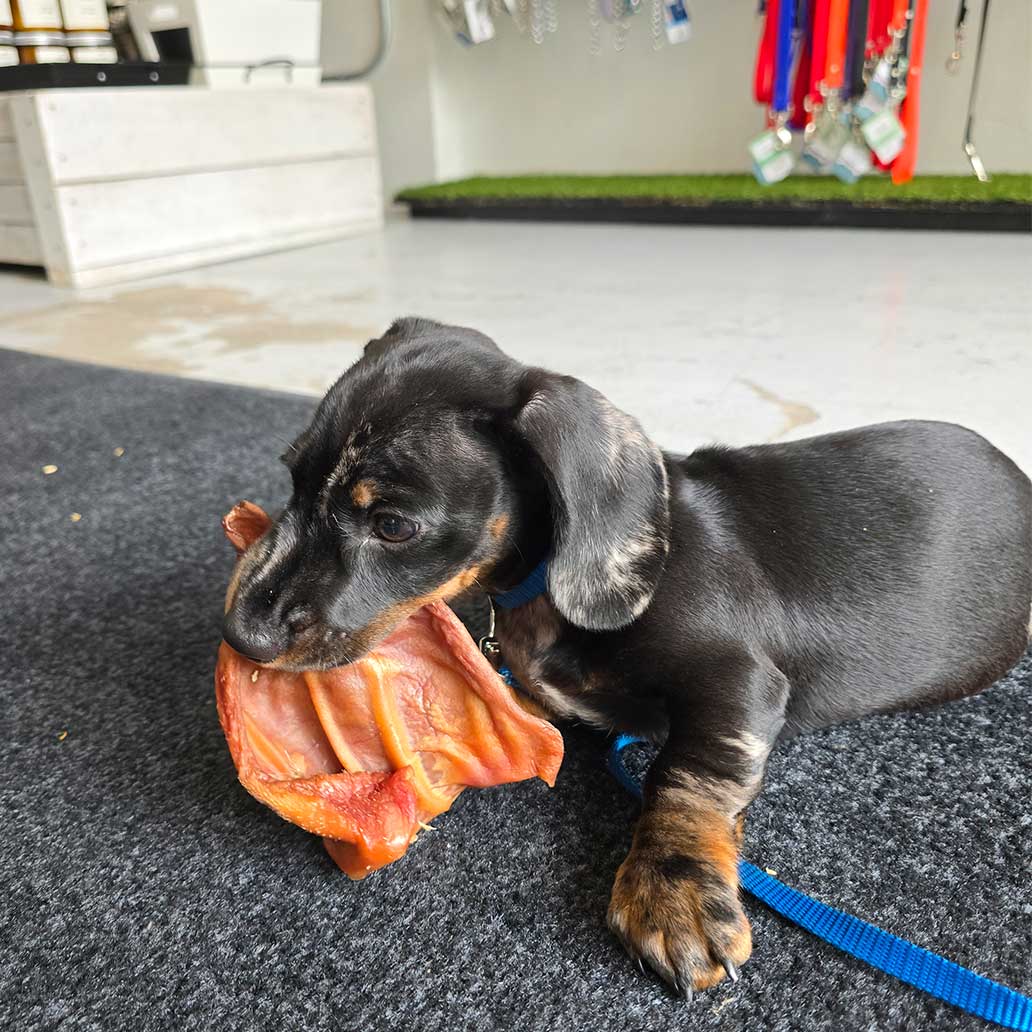 Wooftown Charcuterie - Smoked Whole Pig Ear