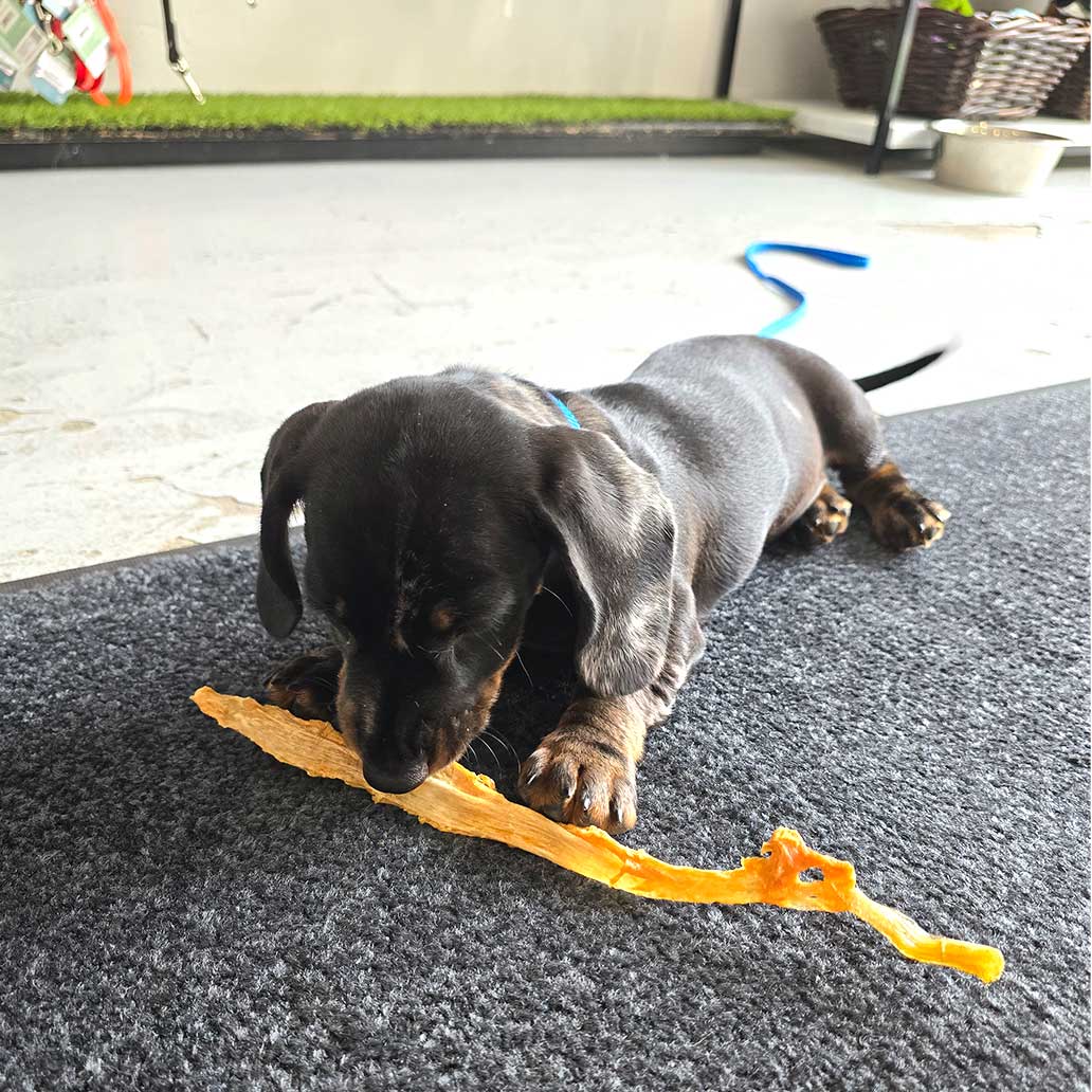 Wooftown Charcuterie - Turkey Tendons