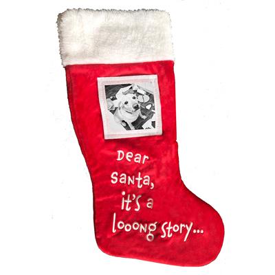Huxley & Kent Picture Frame Christmas Stocking - Dear Santa...(18")