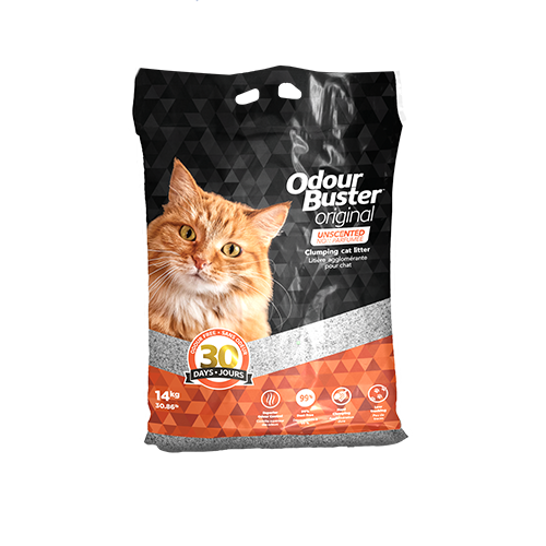 Cat sales food litter