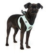 FuzzYard Step in Dog Harness - Various Colours