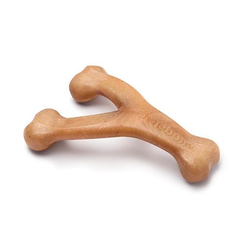 Benebone bacon dental sales chew