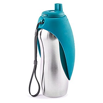 Messy Mutts Stainless Steel Water Bottle with Silicone Bowl
