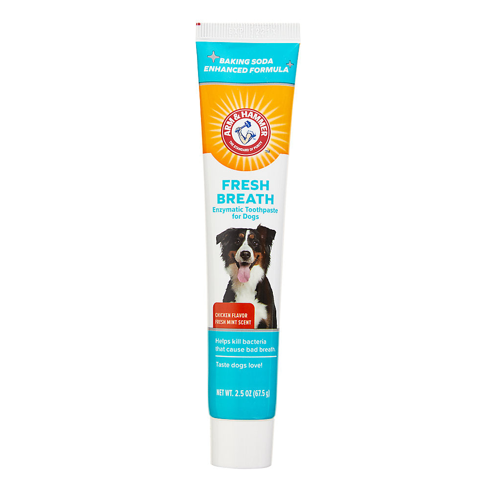 Bluestem dog outlet toothpaste