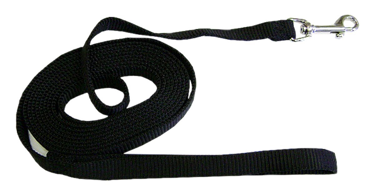 Hamilton Training Lead (5/8" x 15ft)