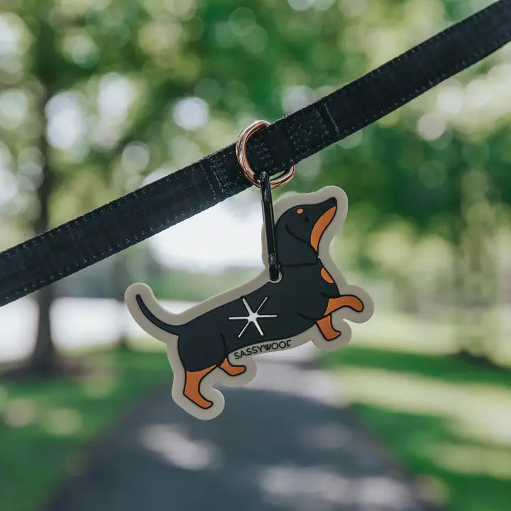 Sassy Woof Potty Pal Poop Bag Holder Clip Wooftown