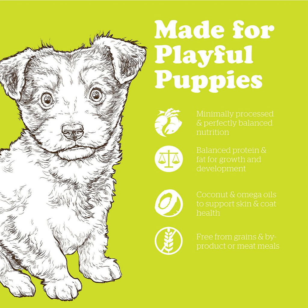 Now Fresh Small Breed Puppy GF Dog Food