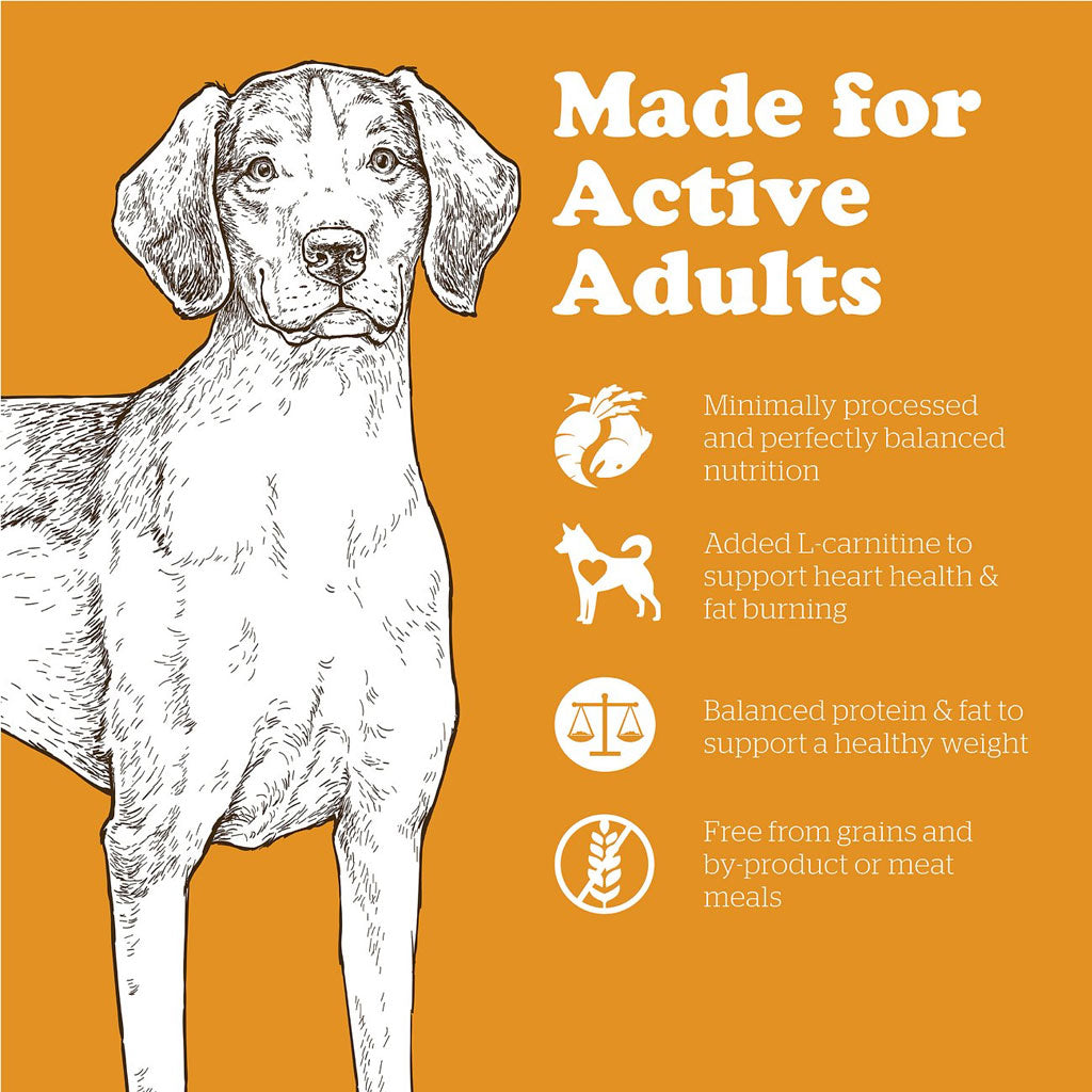 Now Fresh Adult GF Dog Food