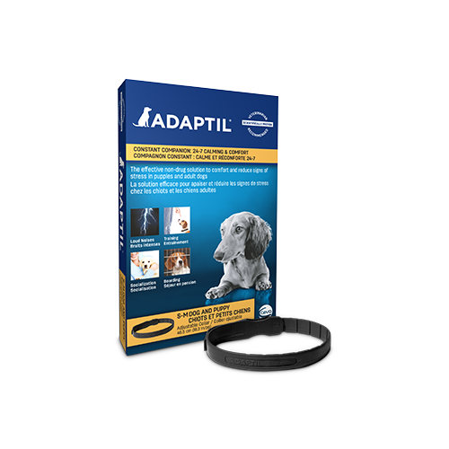 Adaptil calm on the go clearance collar