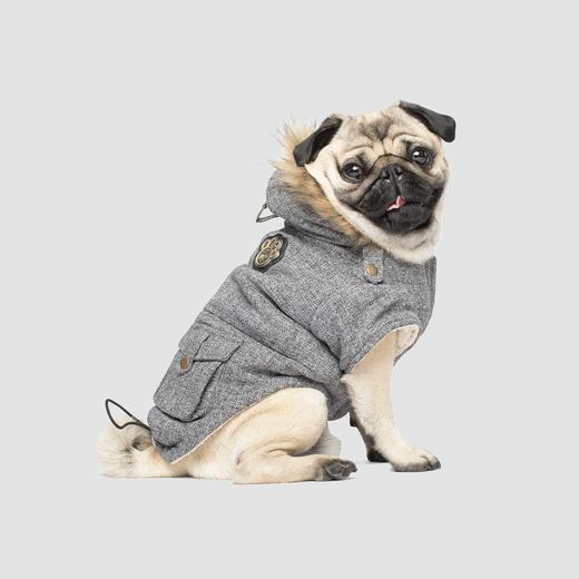 Canada Pooch Alaskan Army Parka - Salt &amp; Pepper
