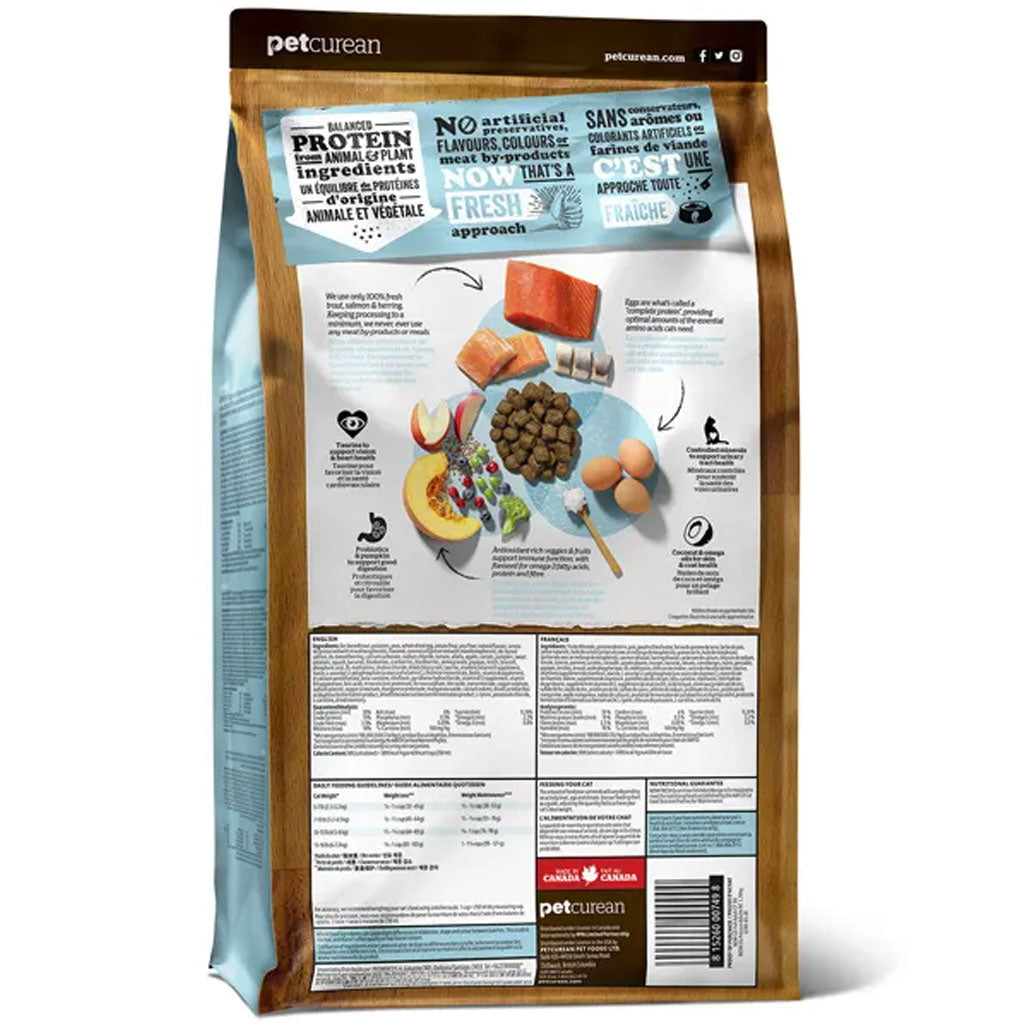 Now Fresh Fish Adult GF Cat Food (1.36kg/3lb)