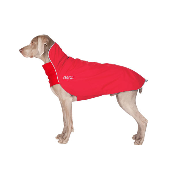 Dog hotsell rain slicker