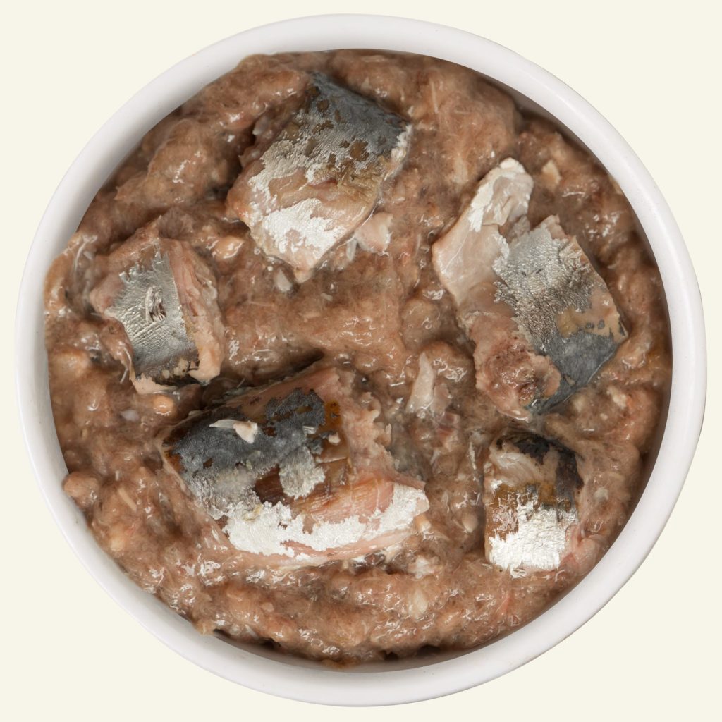 Weruva Cats in the Kitchen Kitty Gone Wild Salmon GF Canned Cat Food (6oz/170g)