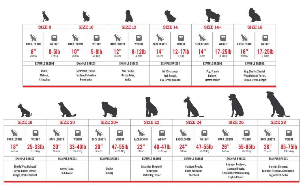 Canada Pooch &quot;No Authority&quot; Tie-Dye Hoodie