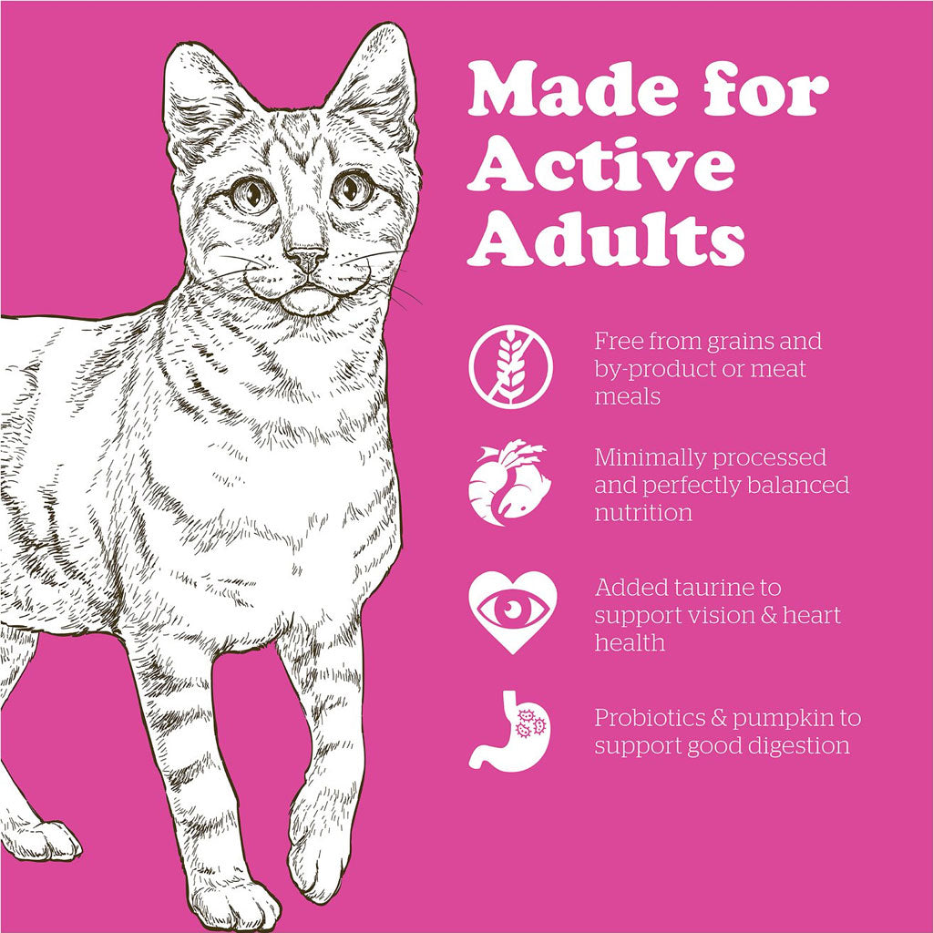 Now Fresh Adult GF Cat Food