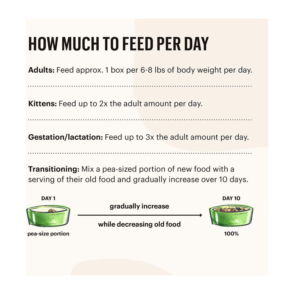 The Honest Kitchen &quot;Câté&quot; Complete &amp; Balanced Chicken Pâté GF Wet Cat Food (5.5oz/155.9g)