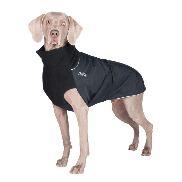 Manteau Great White North de Chilly Dogs