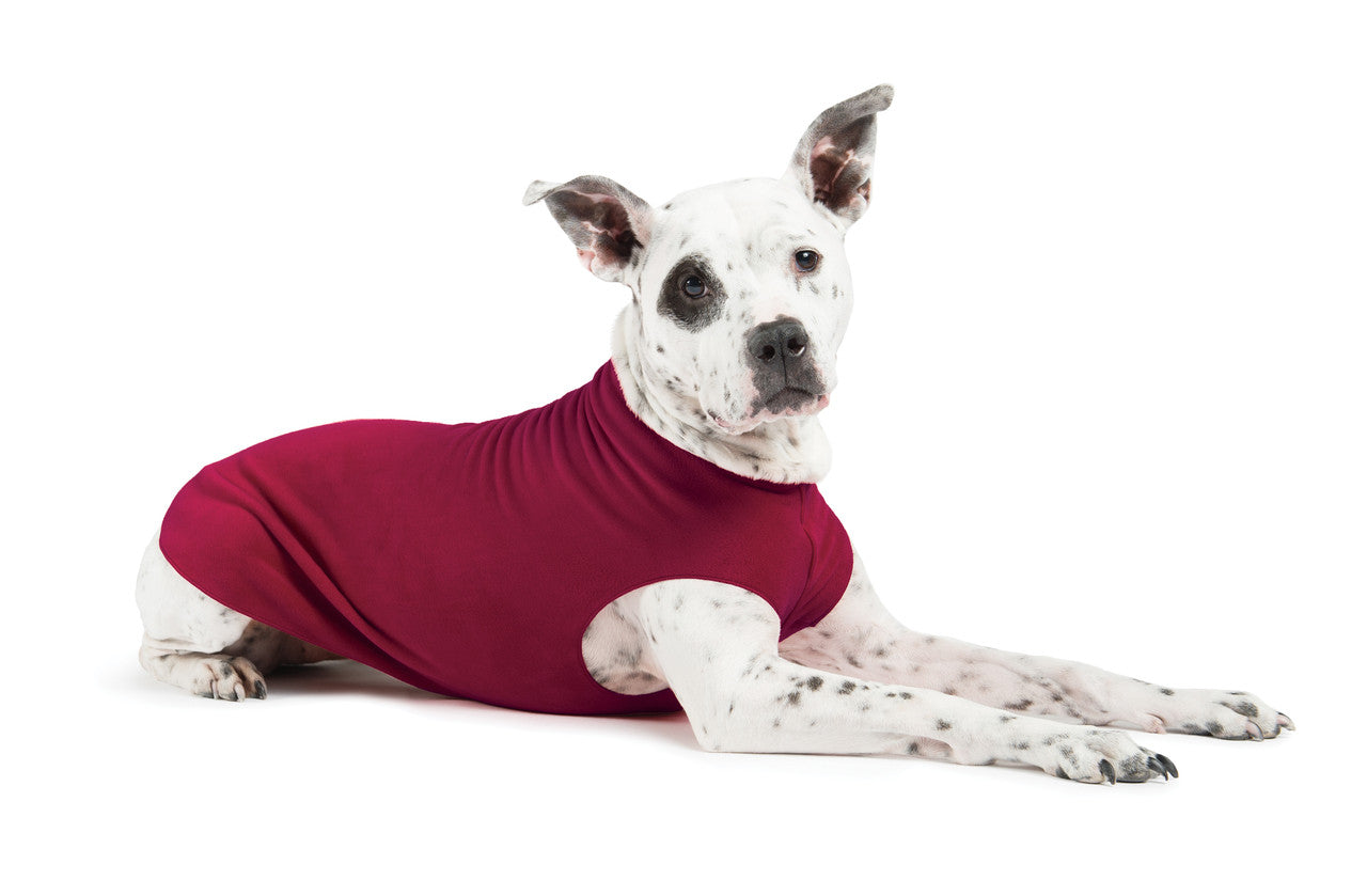 Gold Paw Series - Stretch Fleece for Dogs