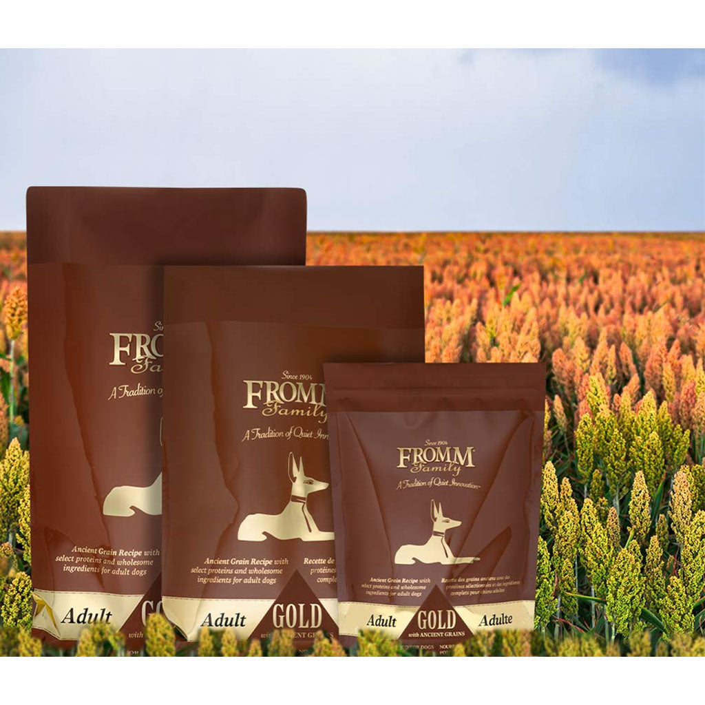 Fromm ingredients best sale