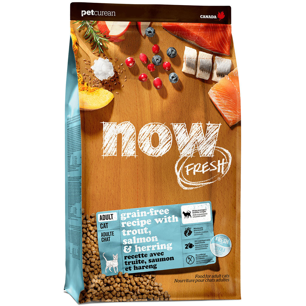 Now Fresh Fish Adult GF Cat Food 1.36kg 3lb Wooftown.ca