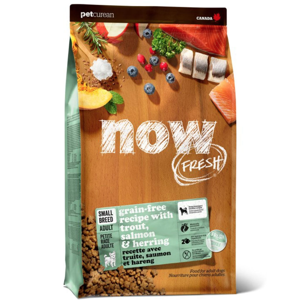 Now Fresh Small Breed Adult Fish GF Dog Food