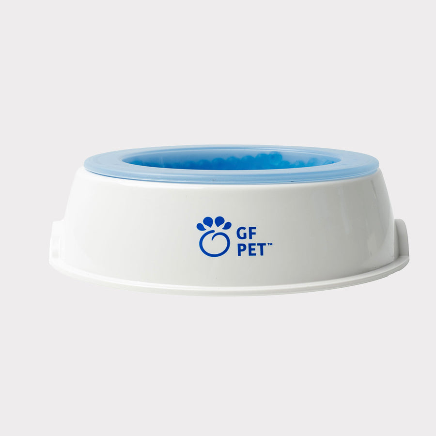 GF Pet Ice Bowl for Dogs