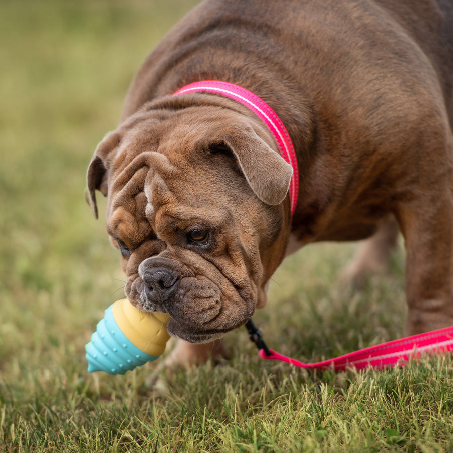 GF Pet Ice Dog Toy
