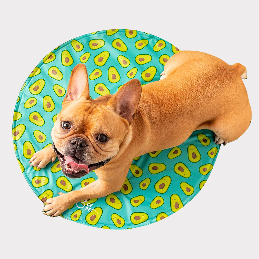 GF Pet Round Ice Mat