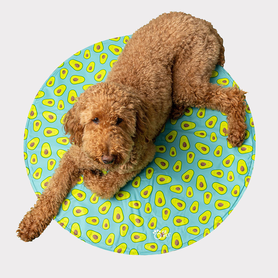GF Pet Round Ice Mat