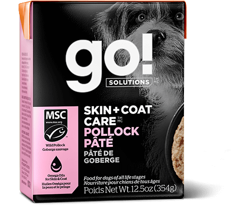 Dog food for skin issues shop