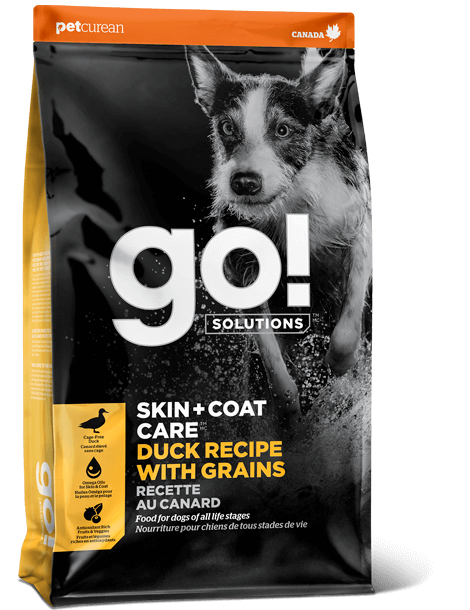 Dog food for skin cheap