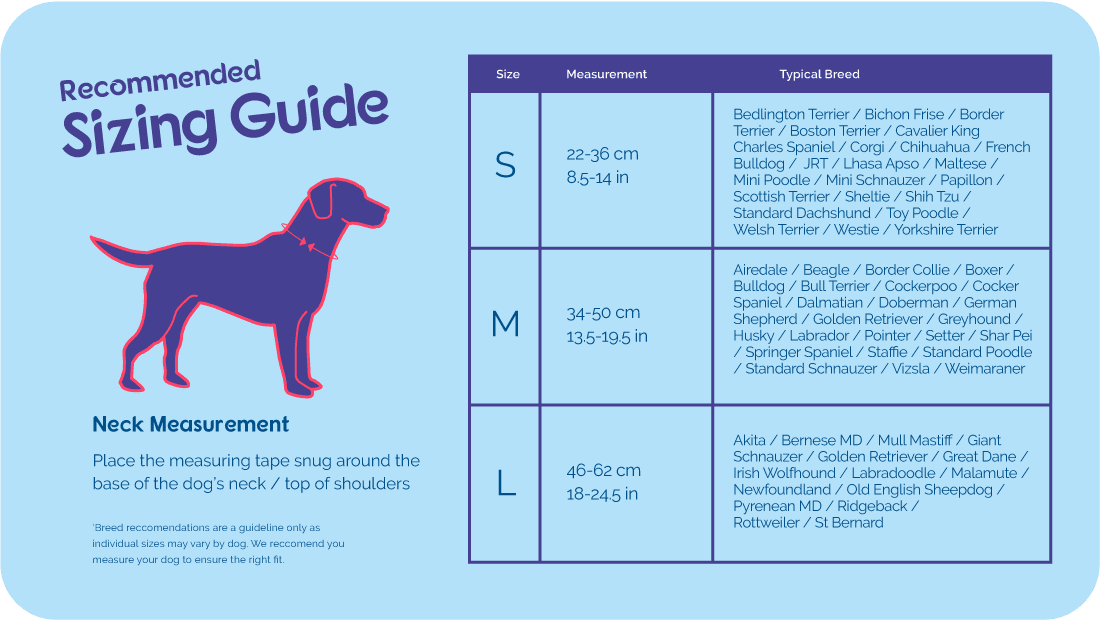 Labrador top harness size