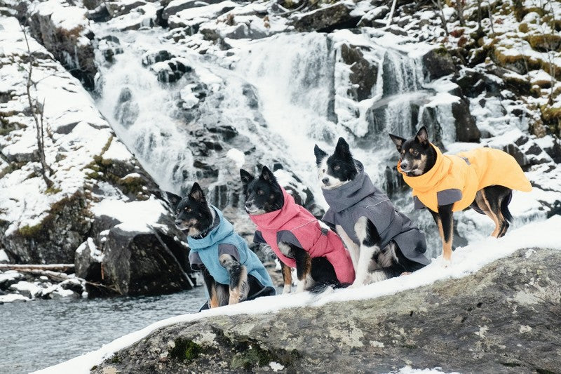 Hurtta Dog Expedition Parka - Various Colours
