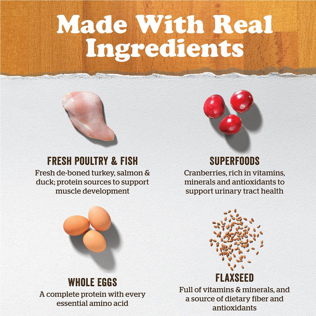 Now Fresh Adult GF Cat Food