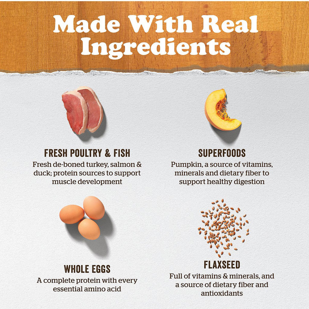 Now Fresh Small Breed Puppy GF Dog Food