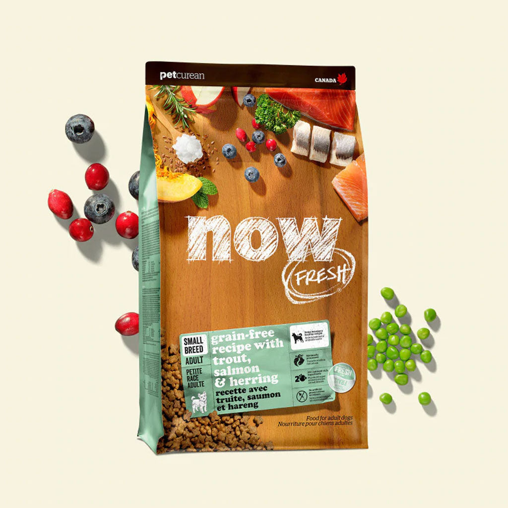 Now Fresh Small Breed Adult Fish GF Dog Food Wooftown.ca