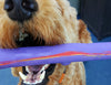 RuffDawg Rubber Twig/Stick CRUNCH Dog Toy - Assorted Colours