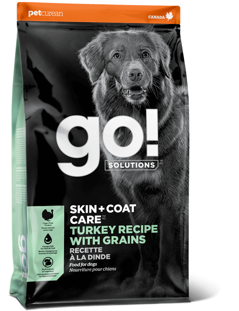 Dog food good for skin and coat 2025